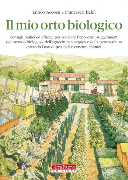 Il mio orto biologico - Enrico Accorsi,Francesco Beldì - ebook