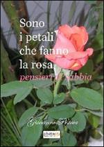 Sono i petali che fanno la rosa. Pensieri di sabbia