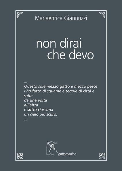Non dirai che devo - Mariaenrica Giannuzzi - copertina