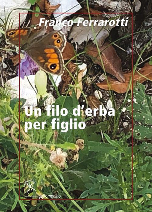 Un filo d’erba per figlio - Franco Ferrarotti - copertina