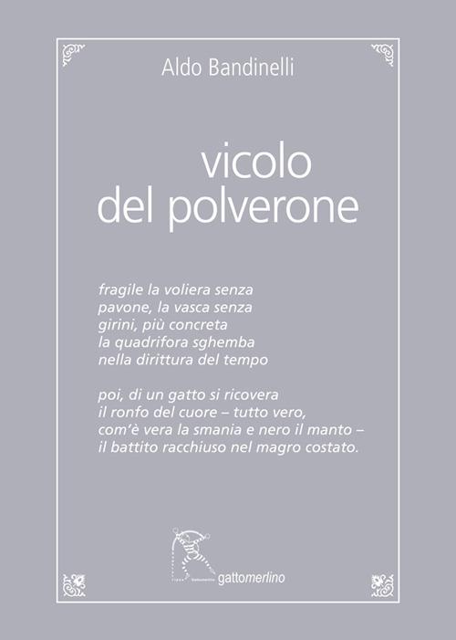 Vicolo del Polverone. Appunti a Roma. Ediz. integrale - Aldo Bandinelli - copertina