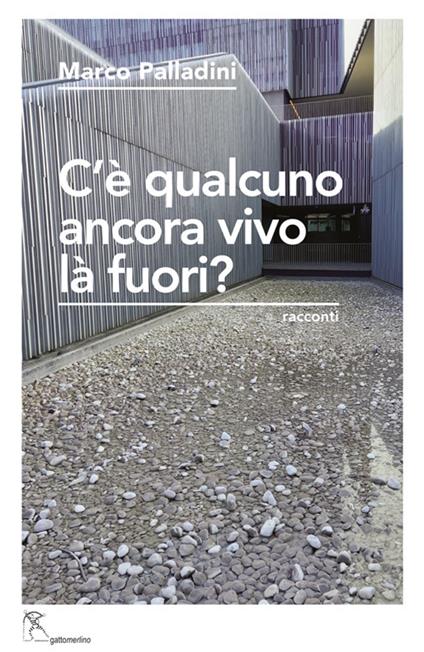 C’è qualcuno ancora vivo là fuori? Altre investigazioni - Marco Palladini - copertina