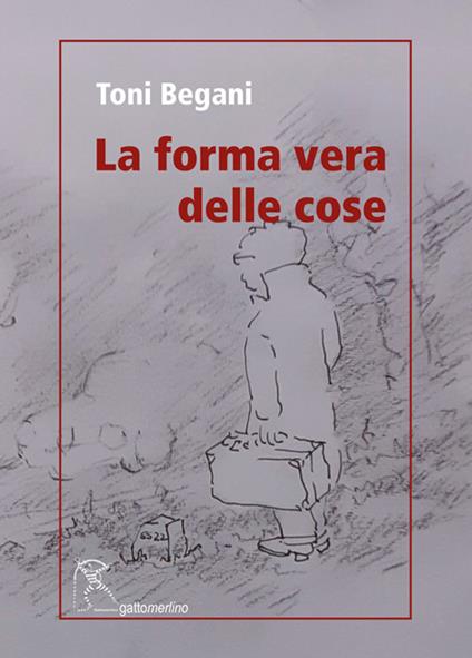La forma vera delle cose - Toni Begani - copertina