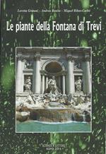 Le piante della fontana di Trevi