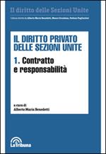 Il diritto privato delle sezioni unite. Vol. 1: Contratto e responsabilità.