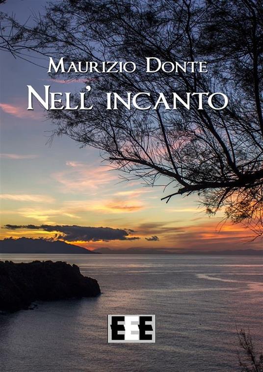 Nell'incanto - Maurizio Donte - ebook