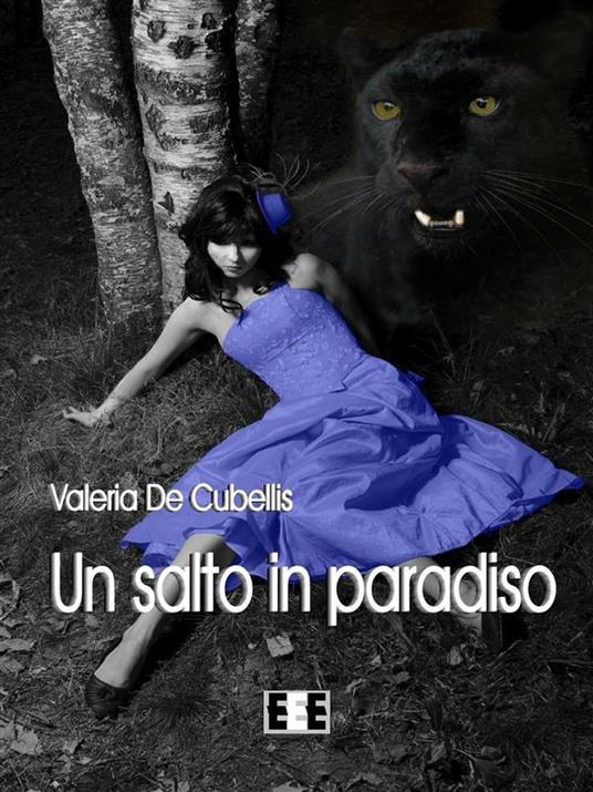 Un salto in paradiso - Valeria De Cubellis - ebook