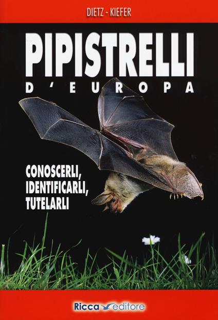 Pipistrelli d'Europa. Conoscerli, identificarli, tutelarli - Christian Dietz,Andreas Kiefer - copertina