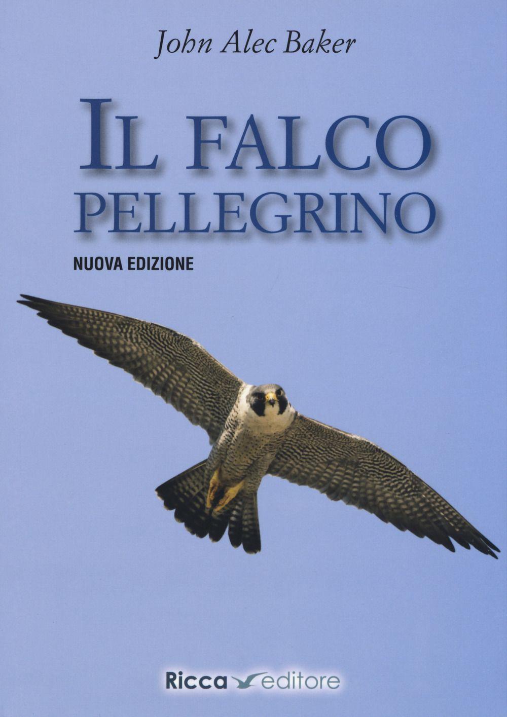 Emozioni Media Store
