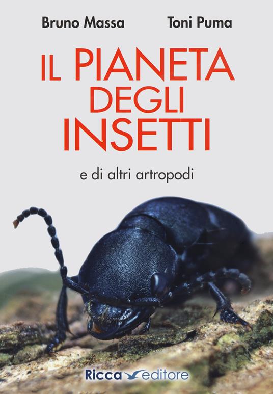 Il pianeta degli insetti e di altri artropodi - Bruno Massa,Toni Puma - copertina