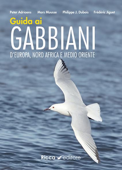 Guida ai gabbiani d'Europa, Nord Africa e Medio Oriente. Ediz. a colori - Peter Adriaens,Mars Muusse,Philippe J. Dubois - copertina