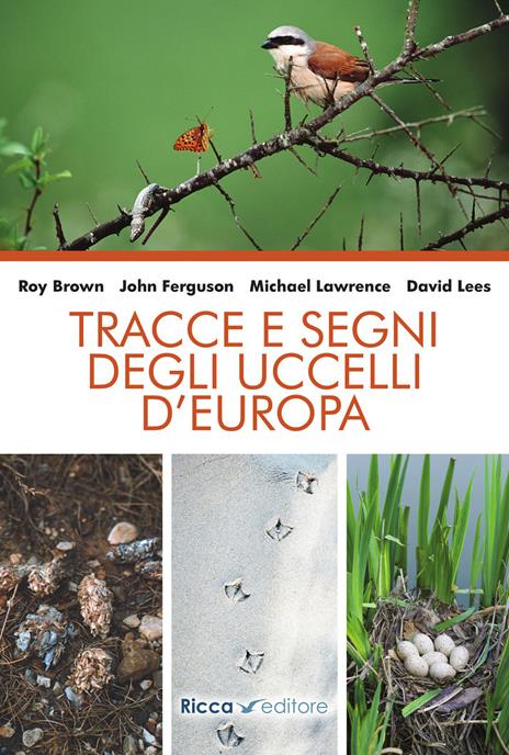 Tracce e segni degli uccelli d'Europa. Nuova ediz. - Roy Brown,David Lees,John Ferguson - copertina