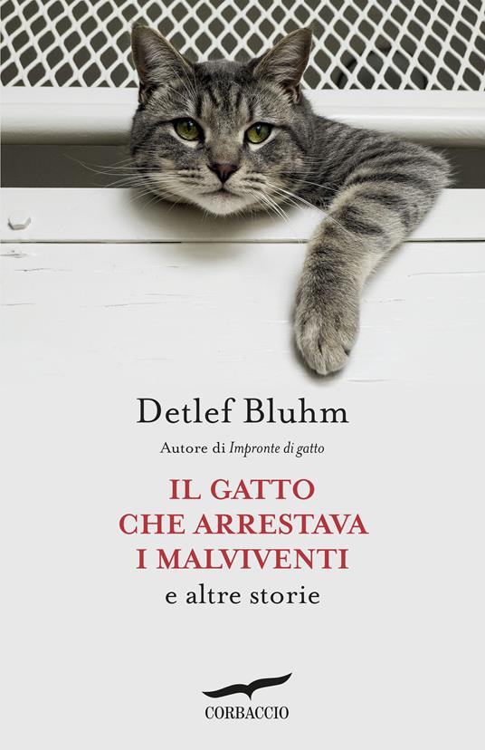 Il gatto che arrestava i malviventi e altre storie - Detlef Bluhm,Gabriella Pandolfo - ebook