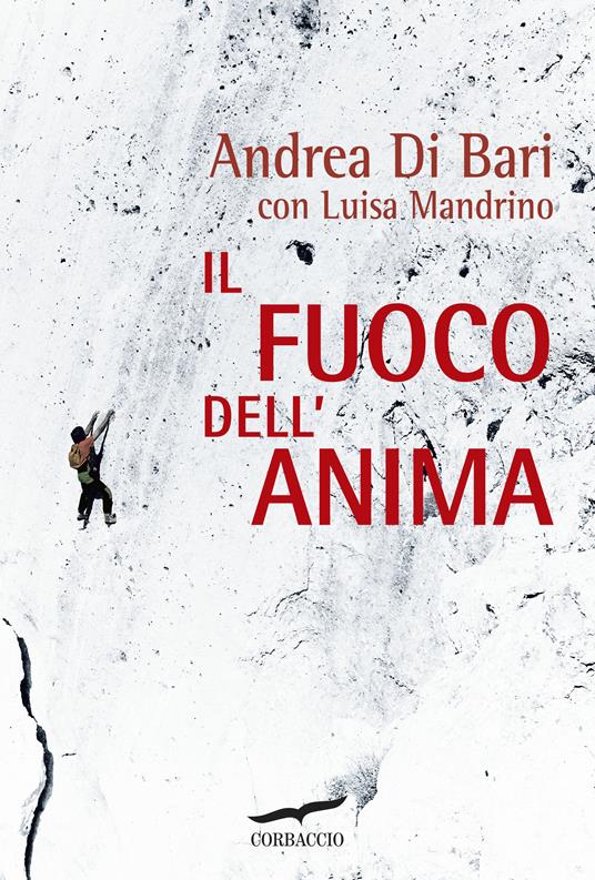 Il fuoco dell'anima - Andrea Di Bari,Luisa Mandrino - copertina