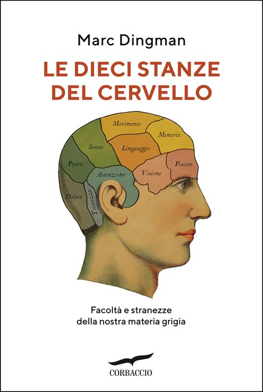 Le dieci stanze del cervello. Facoltà e stranezze della nostra materia grigia - Marc Dingman - copertina