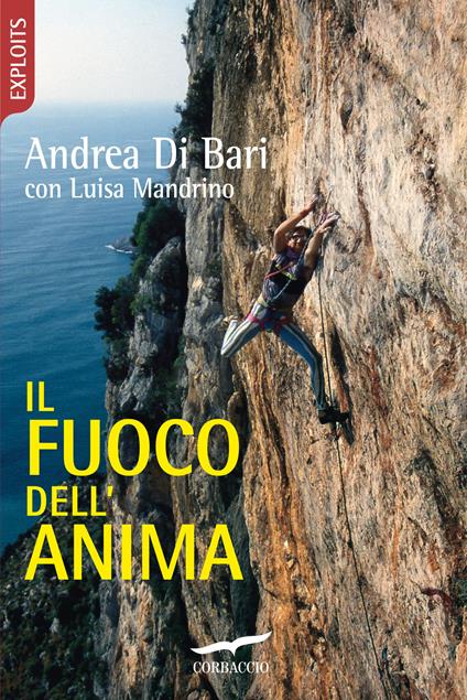 Il fuoco dell'anima - Andrea Di Bari,Luisa Mandrino - copertina