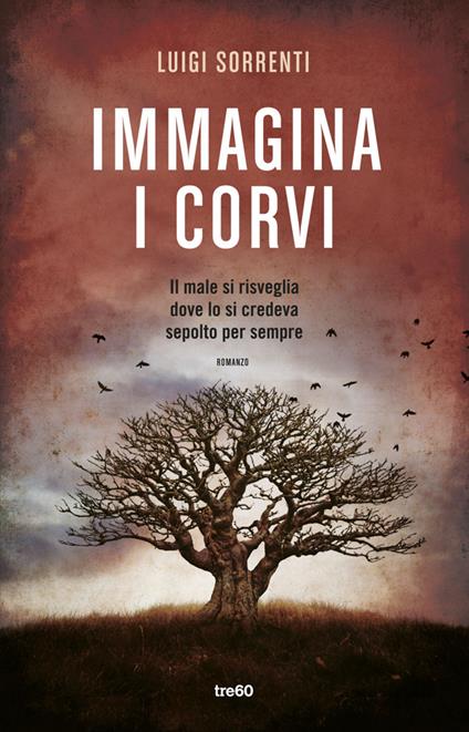 Immagina i corvi - Luigi Sorrenti - copertina