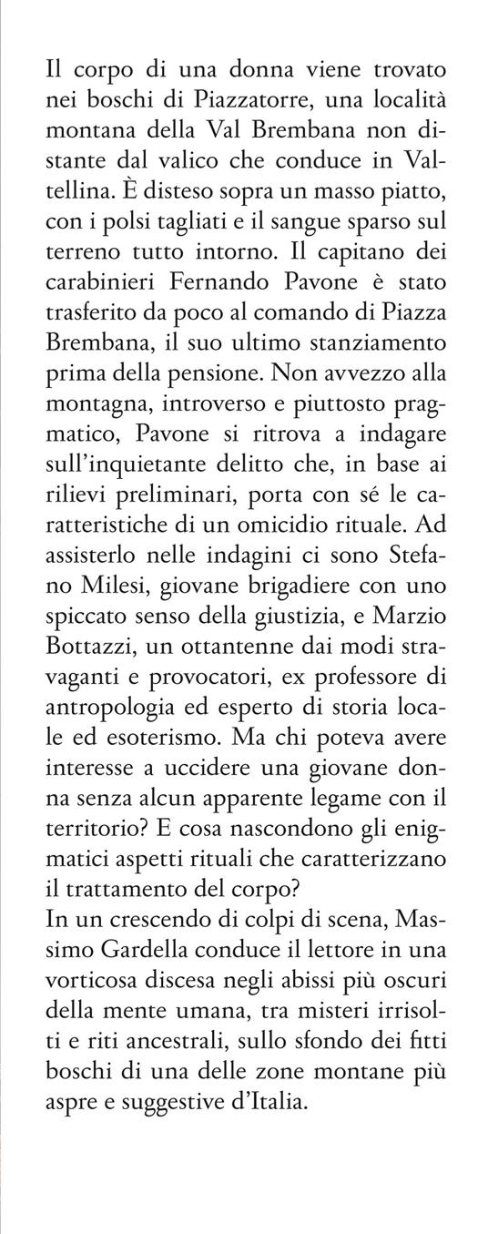 Luci nel bosco - Massimo Gardella - 2