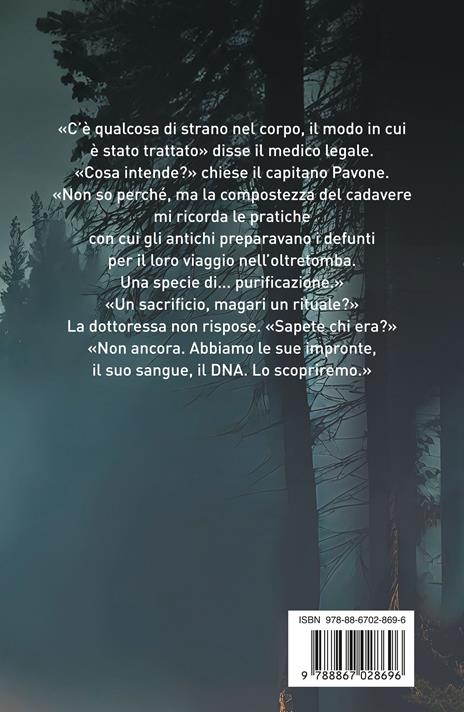 Luci nel bosco - Massimo Gardella - 6