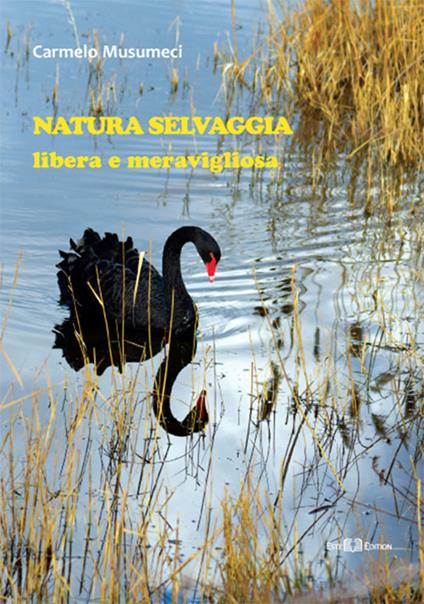 Natura selvaggia. Libera e meravigliosa. Ediz. a colori - Carmelo Musumeci - copertina