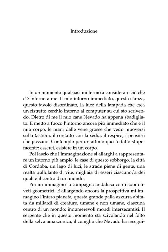 Pellegrinaggi verso il vuoto. Ripensare la realtà attraverso la fisica quantistica - Shantena Augusto Sabbadini - 2
