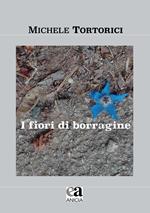 I fiori di borragine