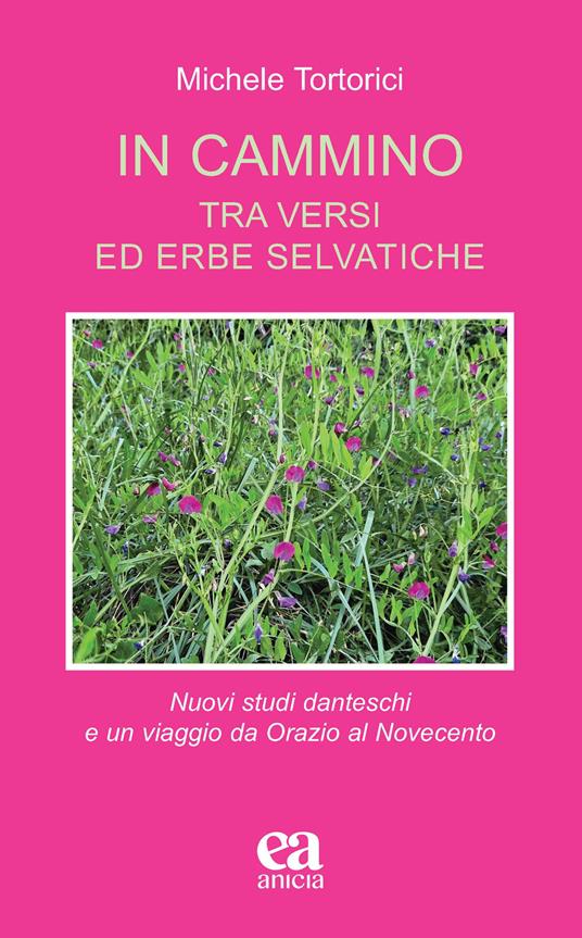 In cammino. Tra versi ed erbe selvatiche. Nuovi studi danteschi e un viaggio da Orazio al Novecento - Michele Tortorici - copertina