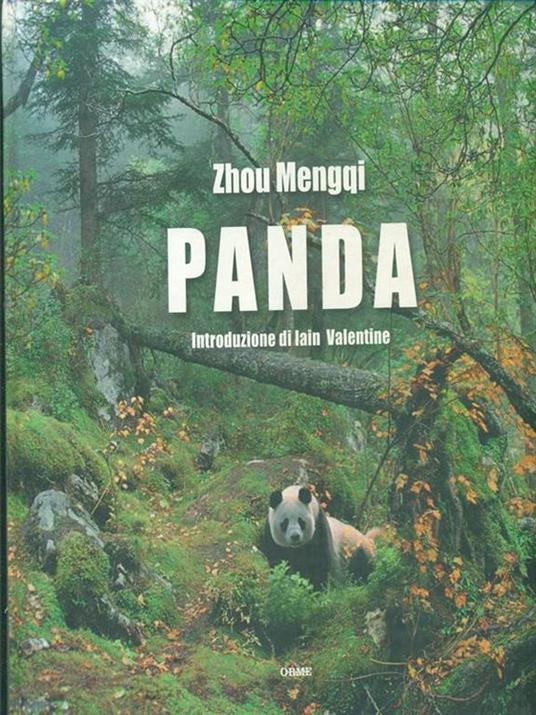Panda - Zhou Mengqi - copertina