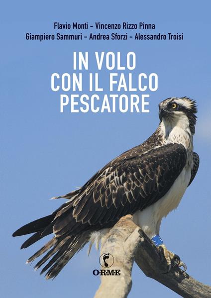 In volo con il falco pescatore - Flavio Monti,Vincenzo Rizzo Pinna,Giampiero Sammuri - copertina