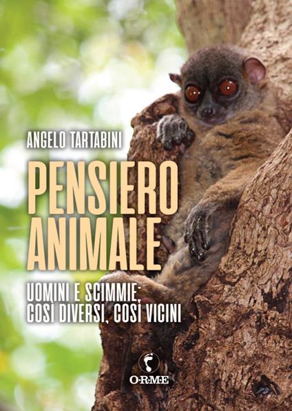 Pensiero animale. Uomini e scimmie - Angelo Tartabini - copertina