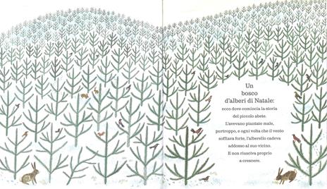 Il piccolo abete. Ediz. a colori - Delia Huddy - 2