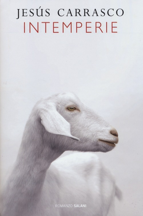 IL PAPIRO