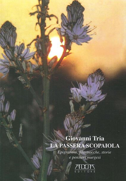 La passera scopaiola. Epigrammi, filastrocche, storie e pensieri murgesi - Giovanni Tria - copertina