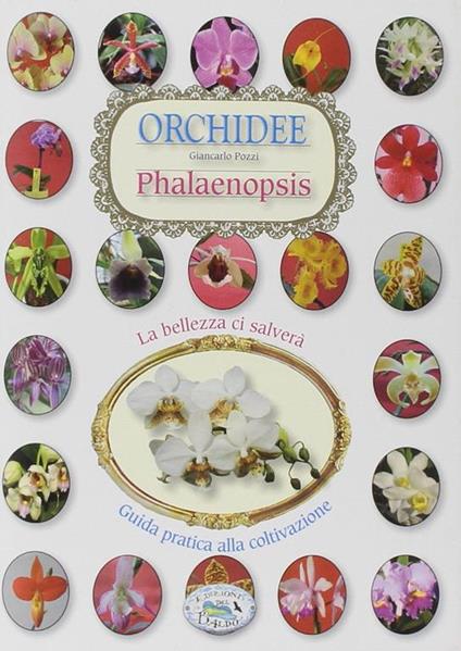 Orchidee phalenipsis - copertina