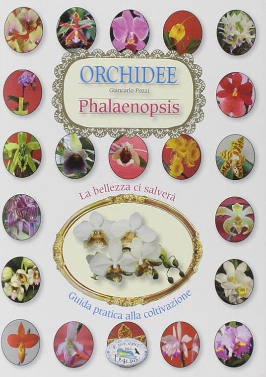 Orchidee phalenipsis - copertina