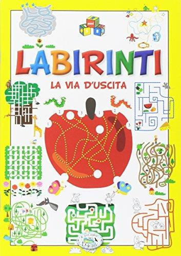 Labirinti. La via d'uscita. Ediz. illustrata - copertina