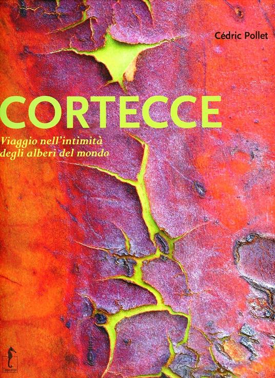 Cortecce. Viaggio nell'intimità degli alberi del mondo. Ediz. illustrata - Cédric Pollet - copertina