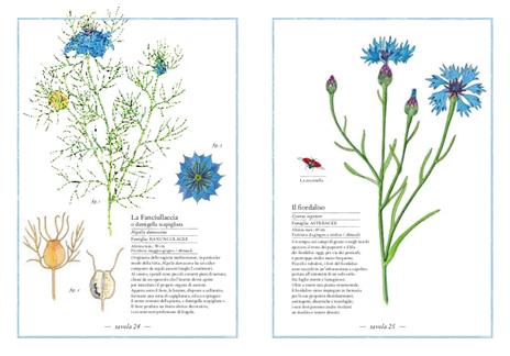 Inventario illustrato dei fiori - Virginie Aladjidi,Emmanuelle Tchoukriel - 2
