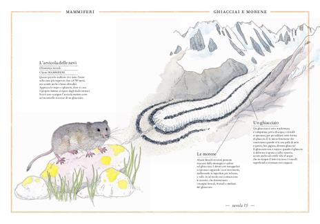 Inventario illustrato della montagna - Virginie Aladjidi,Emmanuelle Tchoukriel - 3