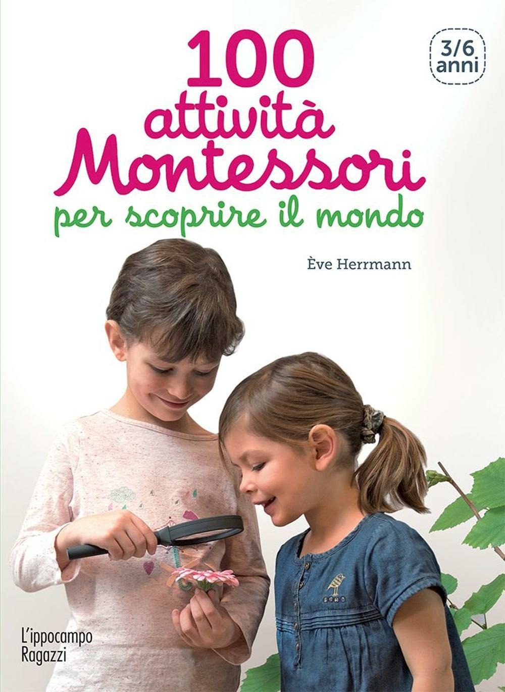 Libraccio