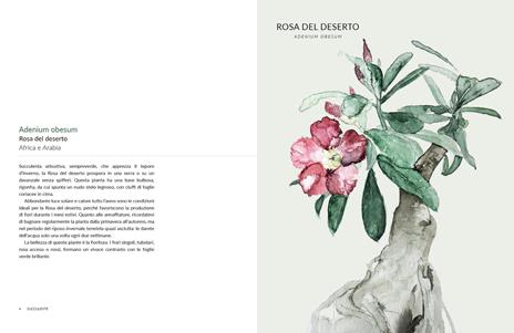 Botanica urbana. Una guida alle piante da interni per i giardinieri di oggi - Maaike Koster,Emma Sibley - 3