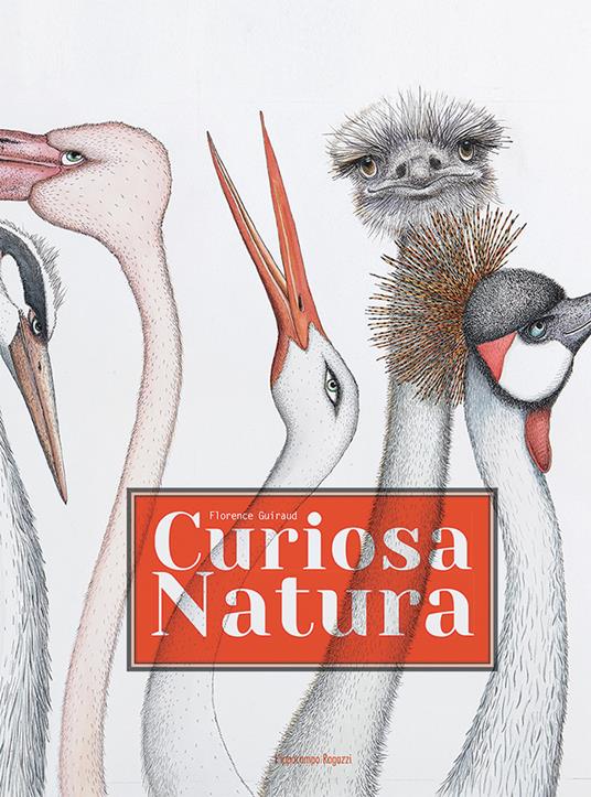 Curiosa natura - Florence Guiraud - copertina
