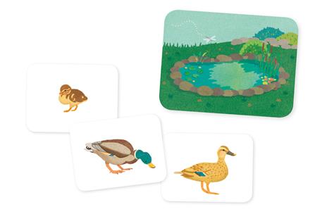 Gli animali della fattoria e i loro piccoli. I piccoli Montessori. Con 32 Carte - Adeline Charneau - 2