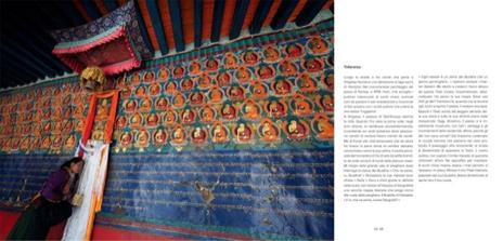 Ritorno in Tibet. Un pellegrinaggio al Monte Kailash - Olivier Föllmi,Jean-Marie Hullot - 3
