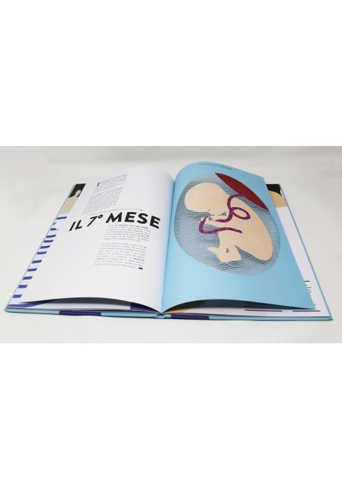 Nascita. Un libro animato per esplorare le origini della vita - Hélène Druvert - 6