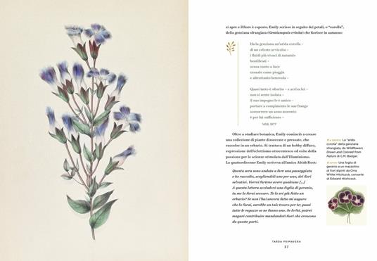 Emily Dickinson e i suoi giardini. Le piante e i luoghi che hanno ispirato l'iconica poetessa - Marta McDowell - 5