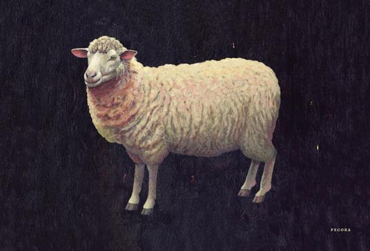 Natura viva. Ediz. a colori - Martin Jarrie - 4