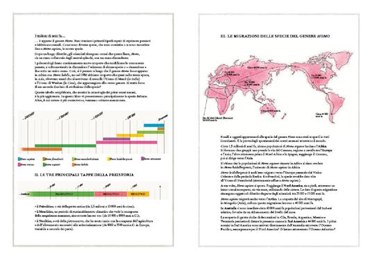 Inventario illustrato della preistoria. Ediz. a colori - Emmanuelle Tchoukriel,Virginie Aladjidi - 3