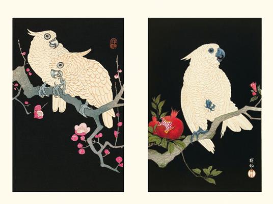 Gli uccelli. Visti dai grandi maestri della stampa giapponesi - Anne Sefrioui - 3