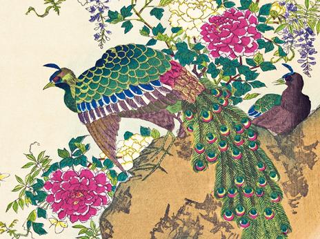 Gli uccelli. Visti dai grandi maestri della stampa giapponesi - Anne Sefrioui - 6